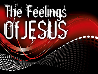 The Feelings Of Jesus.jpg -  What did Jesus feel from the Garden to the Cross? And what does it all mean to you and me?  The Bible gives clear details as to what the witnesses of the resurrection were feeling ~ especially about who they thought He was.  In this message series we'll be exploring  "The Feelings Of Jesus!"    Message One - All Points Like Me (3/24/2013)     Message Two - The Feelings Of Jesus (3/31/2013)    