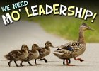 Mo Leadership  (7 DVD Set) The greatest leader of all time was the man Moses. We all could use some of what he had, regardless of our position on the leadership ladder! We all need Mo&#39; Leadership!  In this very transparent, seven-part series, Pastor Garry Clark zeros in on what made Moses effective in his leadership. You will discover the highs and lows and even some hardly discussed areas of Moses&#39; life. : ducks, duck, parent, parenthood, nature, bird, ornithology, pack, group, family, mum, dad, siblings, children, flock, gaggle, love, devotion, environment, green, colour, outside, kids