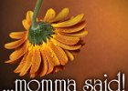 Momma Said  (6 DVD Set) The woman who had the most powerful and positive impact on the life of Pastor Garry, was his momma, Ann Clark Riley! 18 years later, after her brutal murder, some of her incredibly solid, Biblical sayings still ring loudly in his ears... Momma Said!
