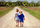 The Love Of Brothers  (1 DVD) This is a very special stand-alone message that will stress the importance of ‘brotherly love!’ Prepare yourselves to be blessed by this encouraging sermon by Pastor Garry on loving one another.